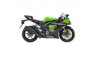 2013-2018 Kawasaki ZX6R Verkleidungen