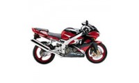 2000-2001 Kawasaki ZX9R Verkleidung