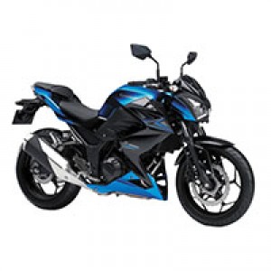 2015-2016 Kawasaki Z250/Z300 Verkleidung