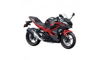 2024-2025 Kawasaki Ninja 500 Verkleidung