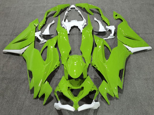 Weiß Grün 2019-2022 Kawasaki ZX6R Motorrad Verkleidung