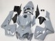 Nardo Grau 2005-2006 Honda CBR600RR Motorrad Verkleidung