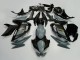 Grau Schwarz Gold 2020-2025 Kawasaki Ninja 650 EX650 Motorrad Verkleidung