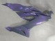 Chameleon Grau Dazz Perl Lila 2019-2022 Kawasaki ZX6R Motorrad Verkleidung