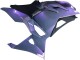 Chameleon Grau Dazz Perl Lila 2024-2025 Kawasaki Ninja 500 EX500R Motorrad Verkleidung