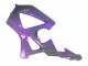 Chameleon Grau Dazz Perl Lila 2000-2001 Honda CBR900RR 929 Motorrad Verkleidung