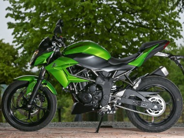 Grün Matt Schwarz 2015-2016 Kawasaki Z250/Z300 Motorrad Verkleidung