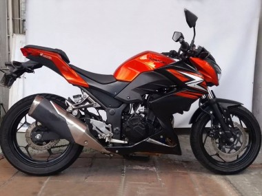 Orange Rot Matt Schwarz 2015-2016 Kawasaki Z250/Z300 Motorrad Verkleidung