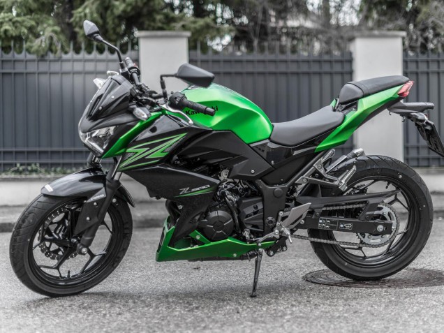 Grün Matt Schwarz 2015-2016 Kawasaki Z250/Z300 Motorrad Verkleidung Kit
