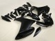 Matt Schwarz 2009-2015 Yamaha FZ6R Motorrad Verkleidung
