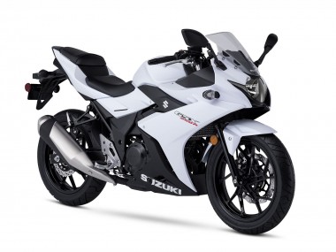 Weiß Schwarz 2017-2020 Suzuki GSX250R Motorrad Verkleidung Kit