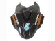 Hellblau Matt Schwarz Petronas 2023-2024 BMW S1000RR Motorrad Verkleidung