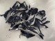 Glänzendes Schwarz Carbonfaser 2023-2024 BMW S1000RR Motorrad Verkleidung