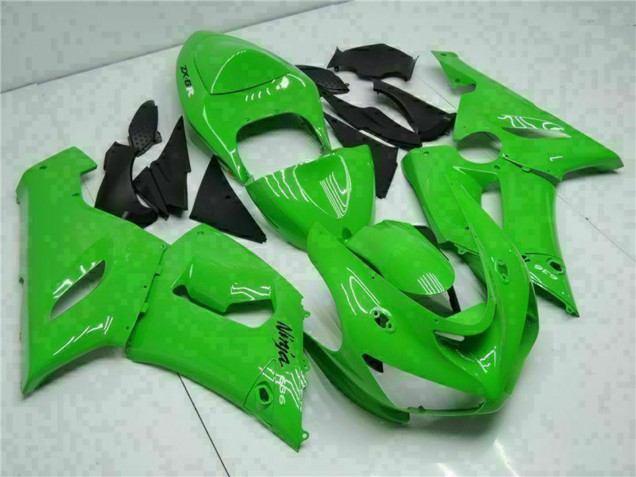 Grün 2005-2006 Kawasaki ZX6R Motorrad Verkleidung