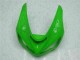 Grün 2005-2006 Kawasaki ZX6R Motorrad Verkleidung