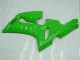 Grün 2005-2006 Kawasaki ZX6R Motorrad Verkleidung