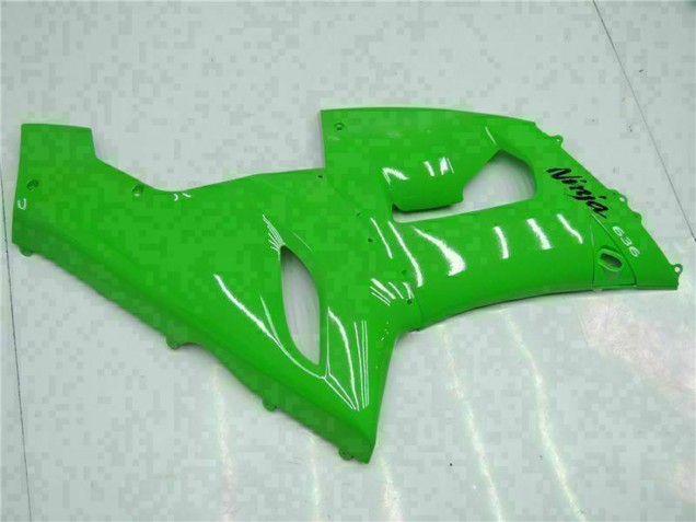 Grün 2005-2006 Kawasaki ZX6R Motorrad Verkleidung