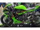 Grün Schwarz 2023-2025 Kawasaki ZX6R Motorrad Verkleidung
