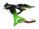 Grün Schwarz 2023-2025 Kawasaki ZX6R Motorrad Verkleidung