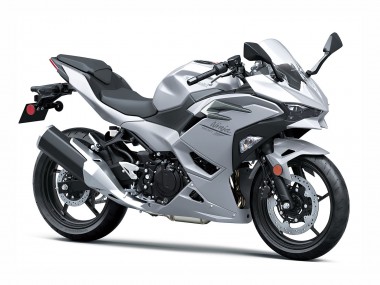 Metallisch Silber Ninja 2024-2025 Kawasaki Ninja 500 EX500R Motorrad Verkleidung