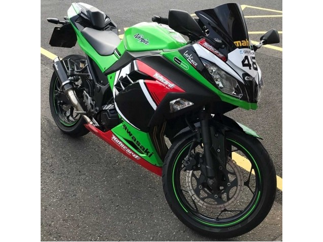 Grün Weiß Rot Schwarz Elf 2013-2024 Kawasaki EX300 Motorrad Verkleidung