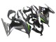 Glänzendes Schwarz Matt Schwarz Grün 2013-2024 Kawasaki EX300 Motorrad Verkleidung