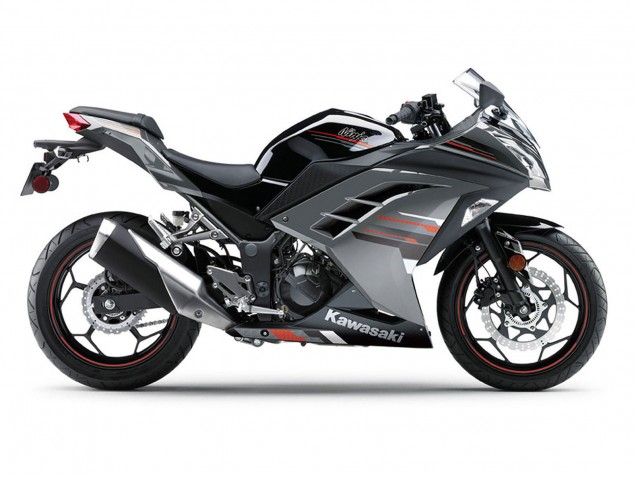 Schwarz Silber Rot 2013-2024 Kawasaki EX300 Motorrad Verkleidung