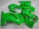 Grün 2008-2012 Kawasaki EX250 Motorrad Verkleidung