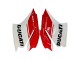 Weiß Rot Grün Matt Schwarz 2015-2020 Ducati 1299 Motorrad Verkleidung