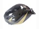Schwarzes Gold 2005-2006 Honda CBR600RR Motorrad Verkleidung