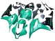 Grün Glänzendes Schwarz 2007-2008 Honda CBR600RR Motorrad Verkleidung