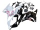 Weiß Cherry Blossom Glänzendes Schwarz 2009-2012 Honda CBR600RR Motorrad Verkleidung