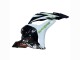 Weiß Grün Glänzendes Schwarz Hannspree 2009-2012 Honda CBR600RR Motorrad Verkleidung