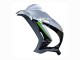 Silber Grün Schwarz 2016-2020 Kawasaki ZX10R Motorrad Verkleidung