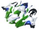 Weiß Grün Blau Schwarz 2021-2025 Kawasaki ZX10R Motorrad Verkleidung