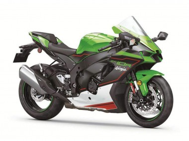 Grün Schwarz Weiß Rot Ninja 2021-2025 Kawasaki ZX10R Motorrad Verkleidung
