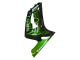 Glänzendes Schwarz Grün Flamme 2003-2004 Kawasaki ZX6R Motorrad Verkleidung