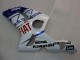 Weiß Blau Rot Fiat 2003-2004 Kawasaki ZX6R Motorrad Verkleidung