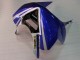 Weiß Blau Rot Fiat 2003-2004 Kawasaki ZX6R Motorrad Verkleidung