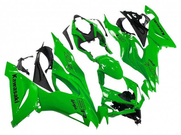 Grün 2019-2022 Kawasaki ZX6R Motorrad Verkleidung
