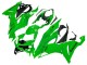 Grün 2019-2022 Kawasaki ZX6R Motorrad Verkleidung