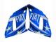Weiß Blau Neon Gelb Fiat Motul Michelin 1998-2002 Yamaha YZF 600 R6 Motorrad Verkleidung