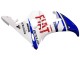 Weiß Blau Dunlop Fiat Motul 2005 Yamaha YZF 600 R6 Motorrad Verkleidung