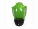 Grün Glänzendes Schwarz Elf Touch4 Monster 2002-2006 Kawasaki ZX12R Motorrad Verkleidung