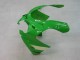 Grün Silber Schwarz 2000-2001 Kawasaki ZX9R Motorrad Verkleidung