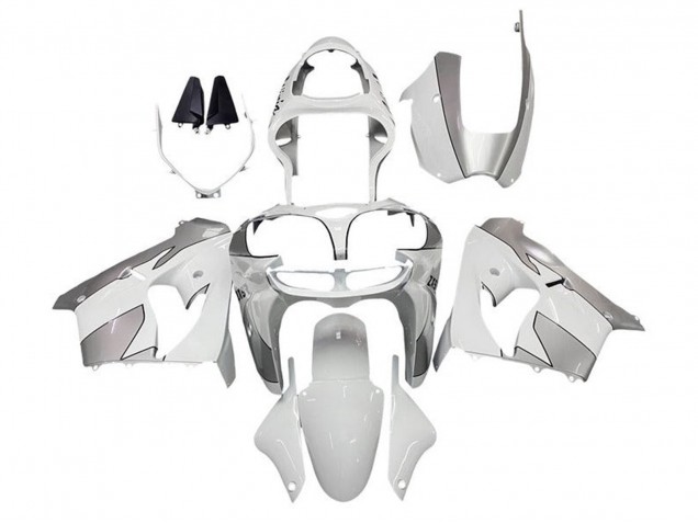 Weiß Silber 2002-2003 Kawasaki ZX9R Motorrad Verkleidung
