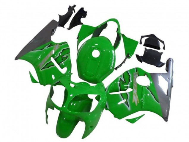 Grün Silber 2002-2006 Kawasaki ZX12R Motorrad Verkleidung