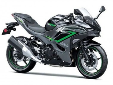 Schwarz Grau Grün 2024-2025 Kawasaki Ninja 500 EX500R Motorrad Verkleidung
