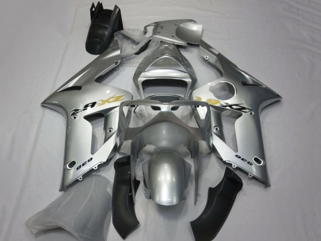 Silber 2003-2004 Kawasaki ZX6R Motorrad Verkleidung